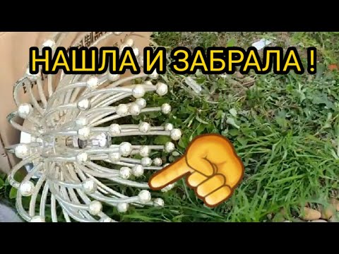 Элла Австралия Новые Выпуски 2022 Года Элла Австралия Новые Выпуски 2022 Года